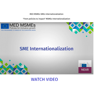 MED MSMEs Internationalisation video