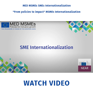 MED MSMEs Video SMEs Internationalization - June 24, 2022