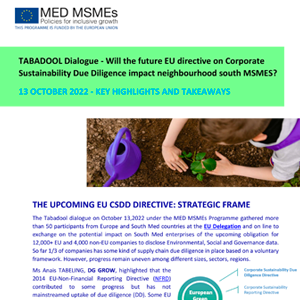 MED MSMEs Digital Tabadool dialogue EU CSDD Directive