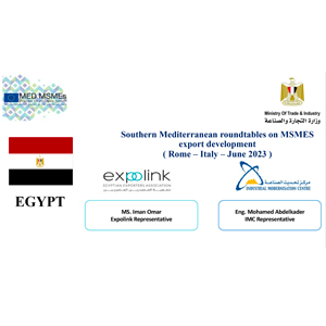 ROME 20-21 June 23 Contribution SME Export Egypt