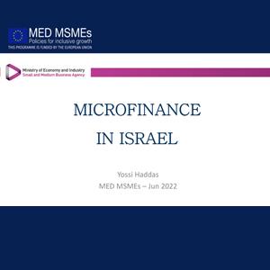 SBAC Coordination and dialogue event june 23 2022 MED MSMEs- Microfinance in Israel- Yossi Haddas