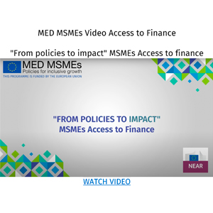 MED MSMEs SMEs Access to finance video