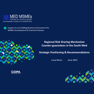 SBAC Coordination and dialogue event - June 23, 2022 - MED MSMEs - RRSM - Presentation of findings and recomemndations Luisa Nenci