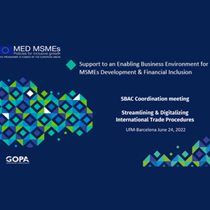SBAC Coordination and dialogue event - June 24, 2022 - MED MSMEs- Streamlining.Digitalising.International.Trade_.Procedures-TDay 2- Trevor O'Regan